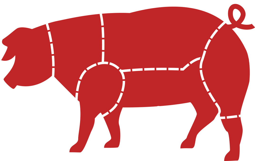 pig